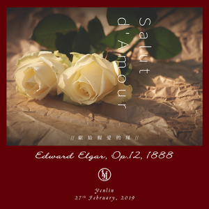 黄网站app在线观看下载视频大全官网
