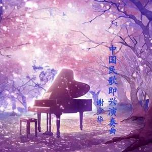 黄网站app在线观看下载视频大全官网
